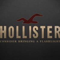 hollister logo