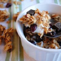 Dark Chocolate Cranberry Coconut Granola (Gluten Free!)