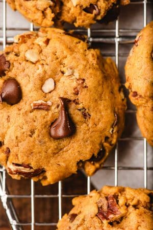 Chewy Pumpkin Chocolate Chip Cookies