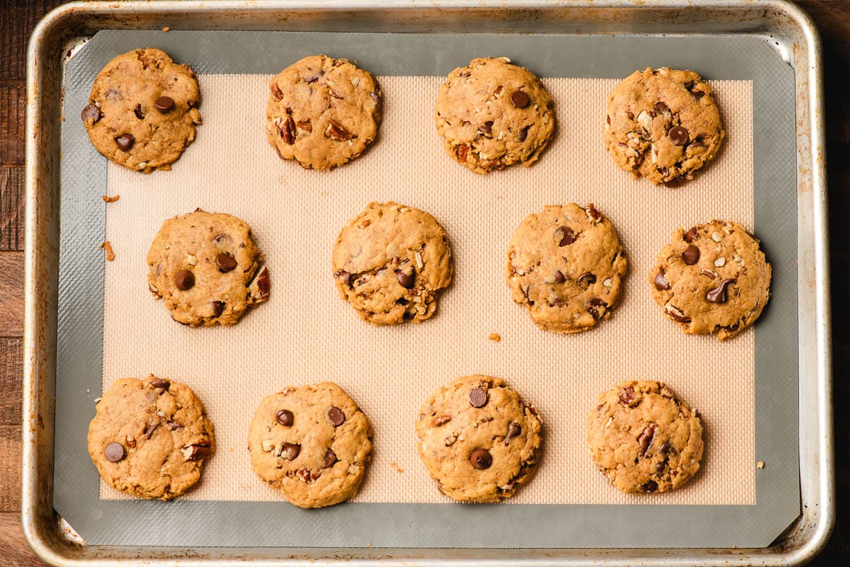 Freshly baked chewy pumpkin chocolate chip cookies on a baking sheet.