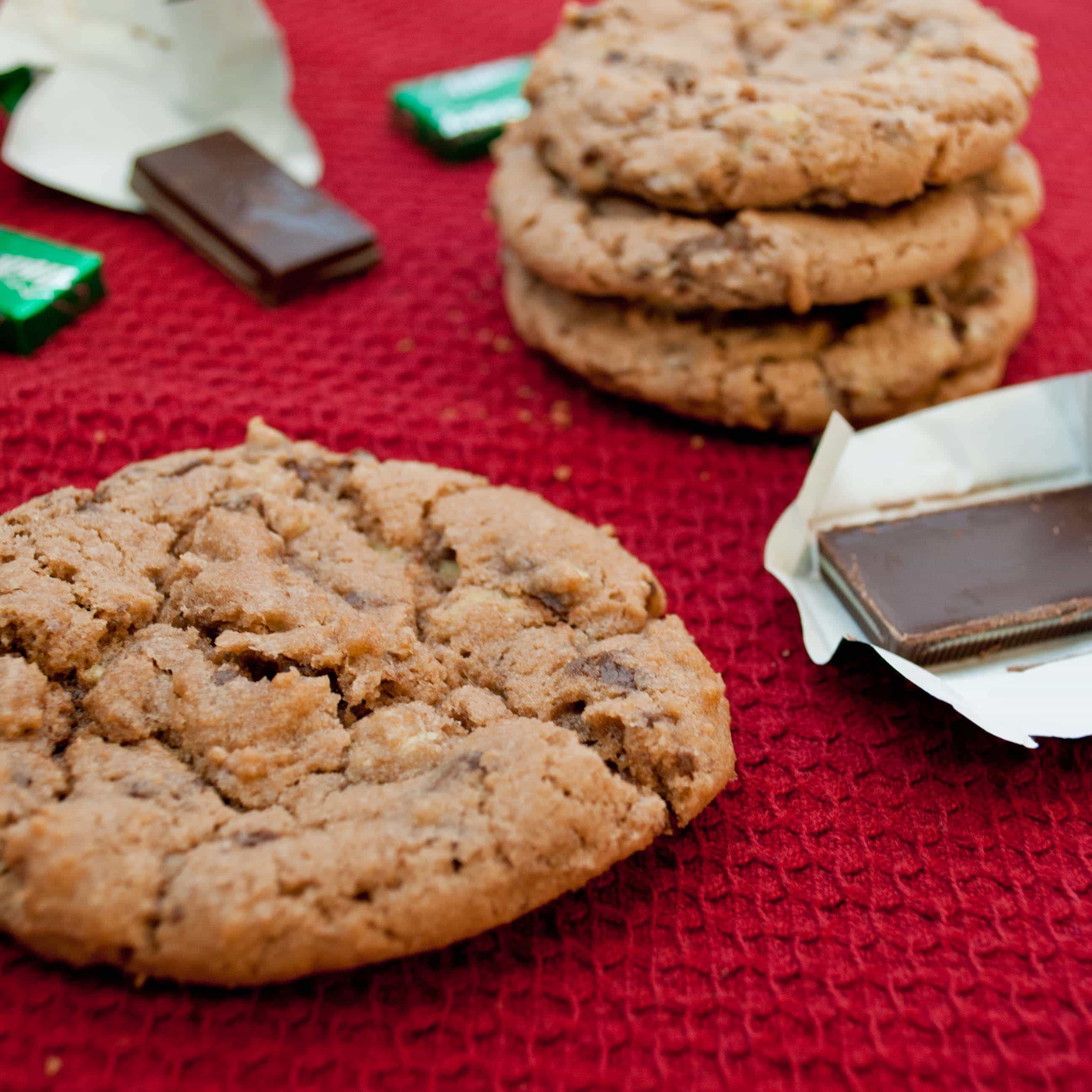 Chewy Mint Chocolate Cookies Recipe