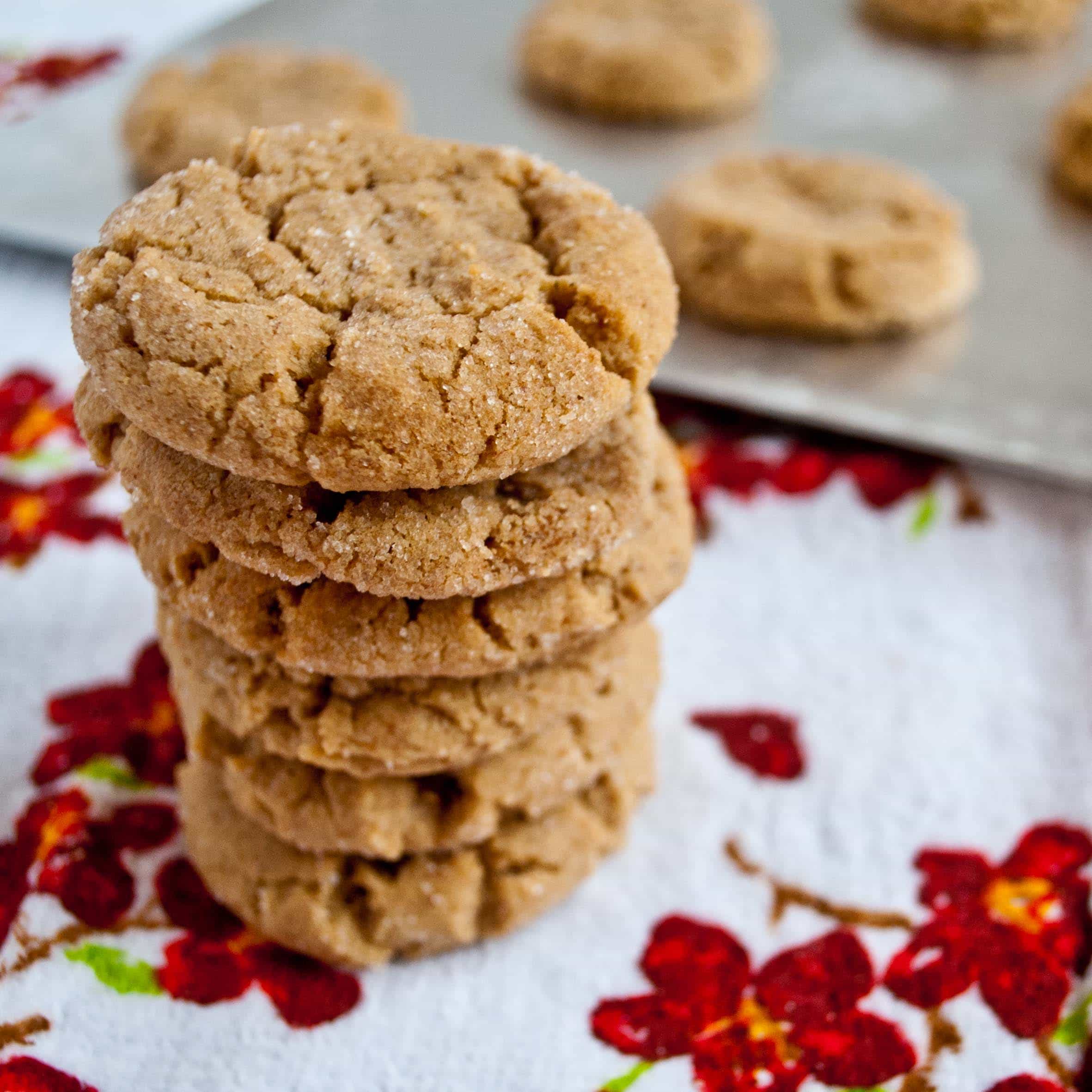 Amazing Chewy Peanut Butter Cookies Recipe Easy Recipes To Make At Home