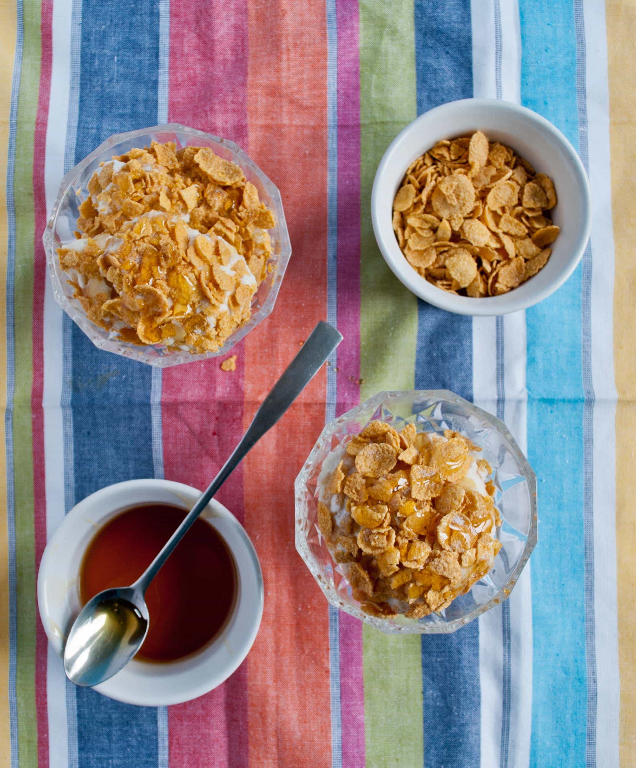 Faux Fried Ice Cream