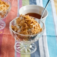 Faux Fried Ice Cream