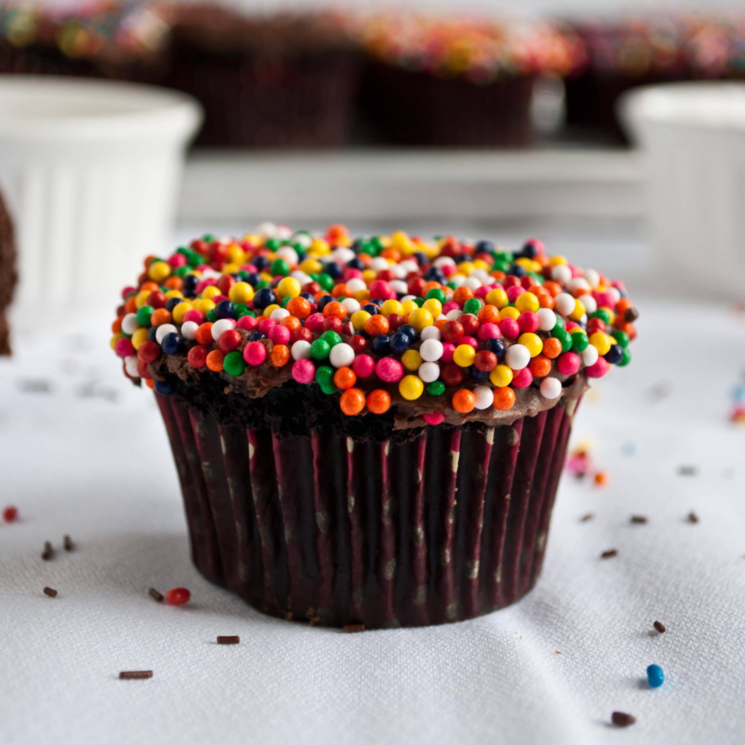 Double Chocolate Cupcakes with Sprinkles 