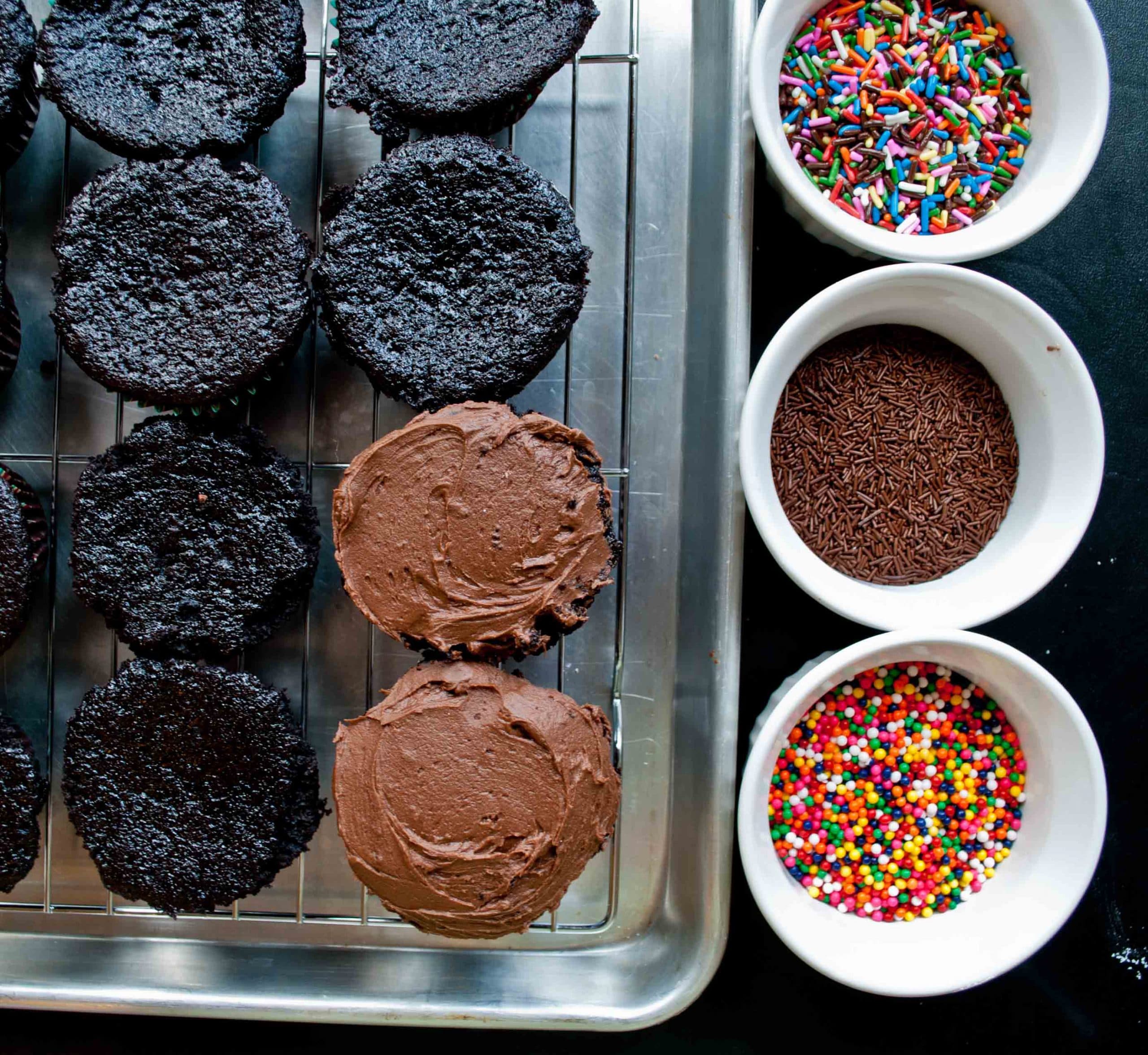 Double Chocolate Cupcakes with Sprinkles