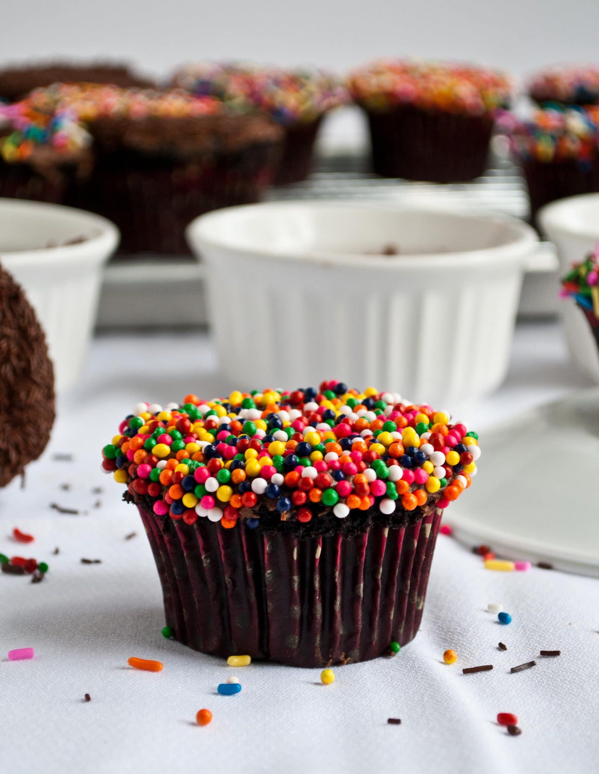 Double Chocolate Cupcakes with Sprinkles