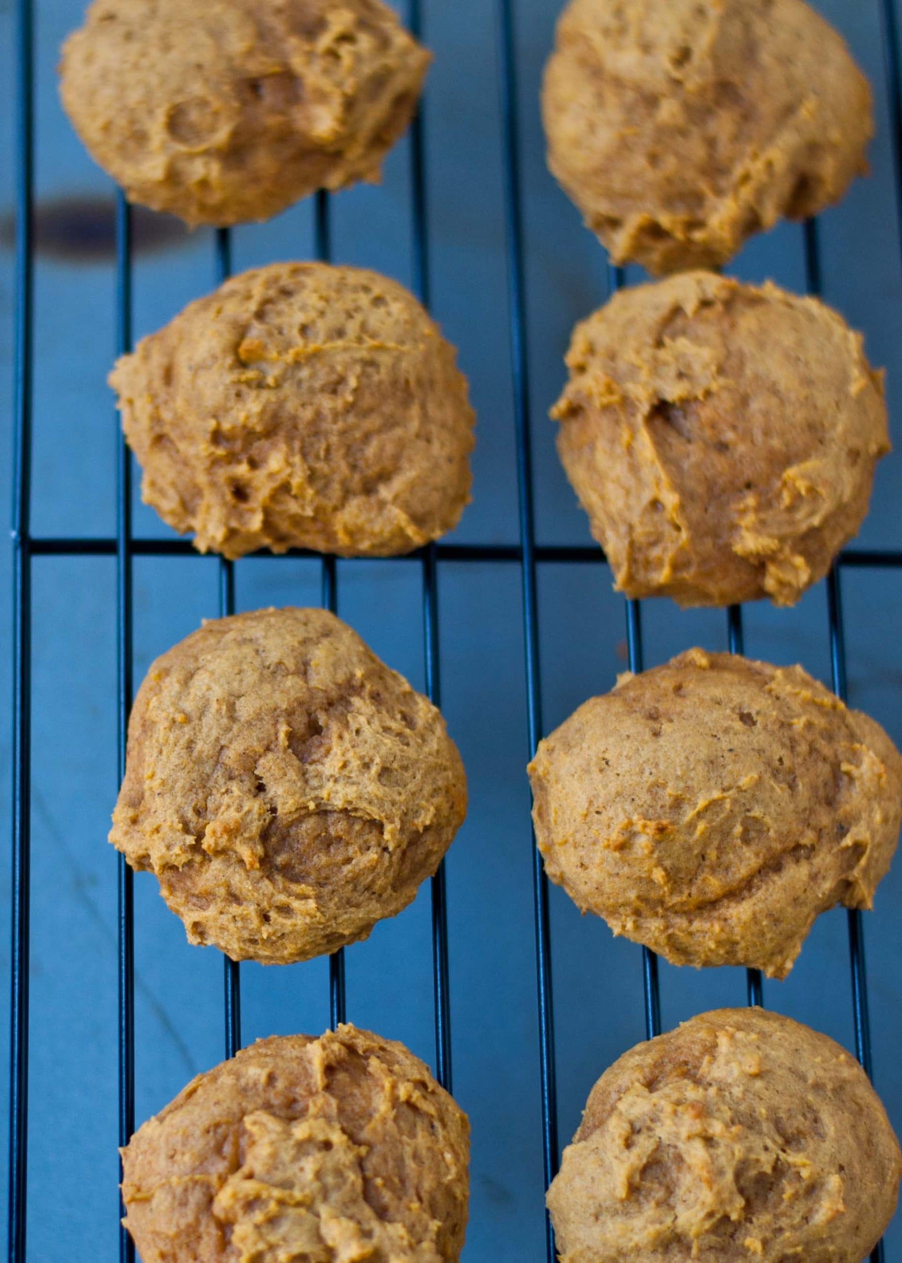 Pumpkin Cookies with Penuche Frosting | Neighborfoodblog.com #pumpkin #recipes