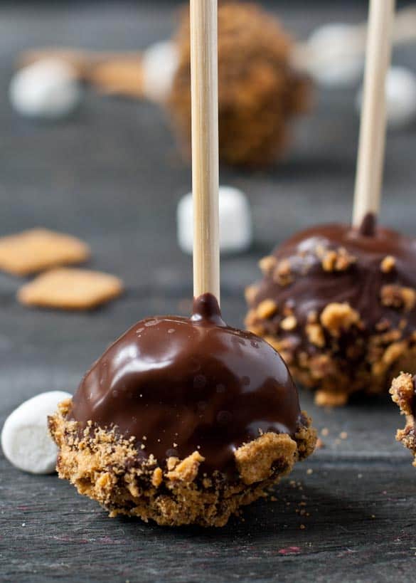S'more Cake Pops- now you can carry your s'mores around on a stick!