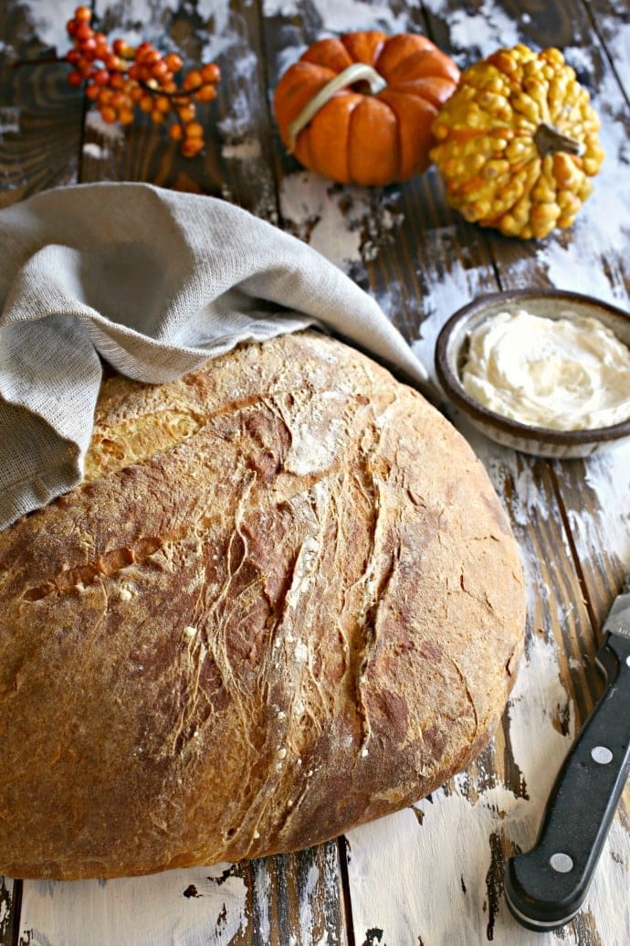 pumpkin boule recipe made with pumpkin puree