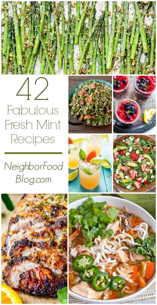 A refreshing collection of 42 sweet and savory recipes using fresh mint!