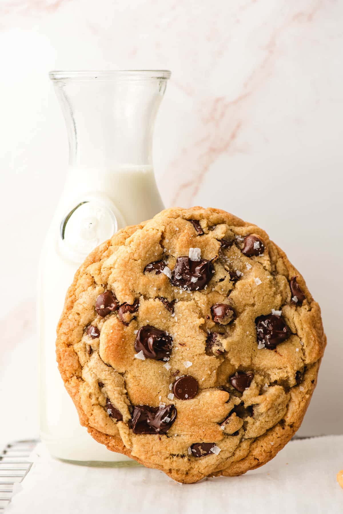 Giant chocolate chip cookie propped against a glass milk jug.