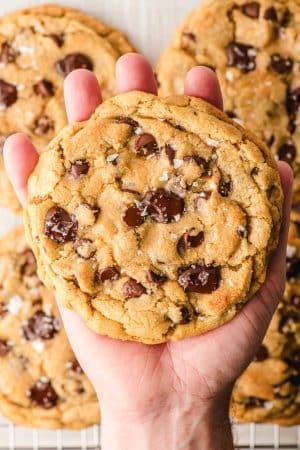 Palm holding a big chocolate chip cookie.
