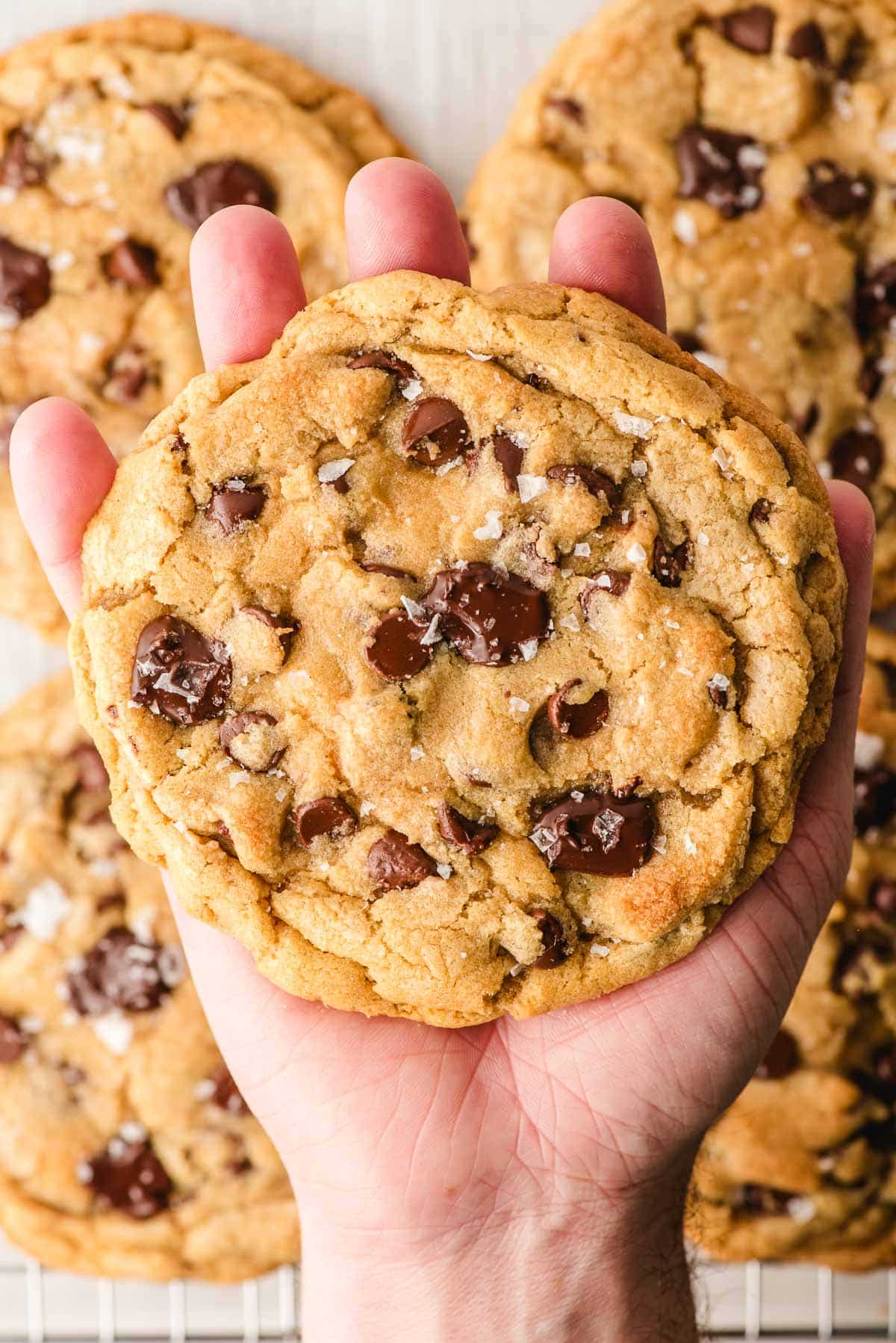 Palm holding a big chocolate chip cookie.