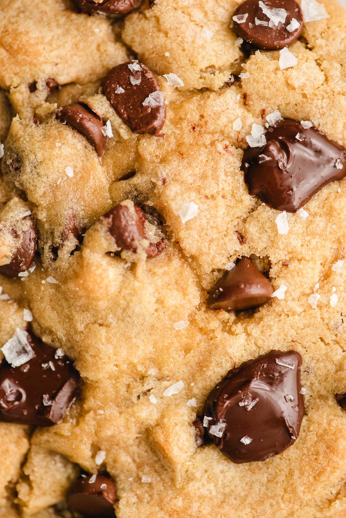 Very up close picture of a chocolate chip and chocolate chunk cookie.