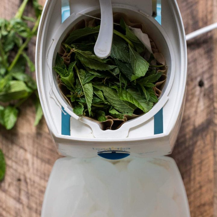 Make this refreshing Mint Iced Tea in your tea maker!