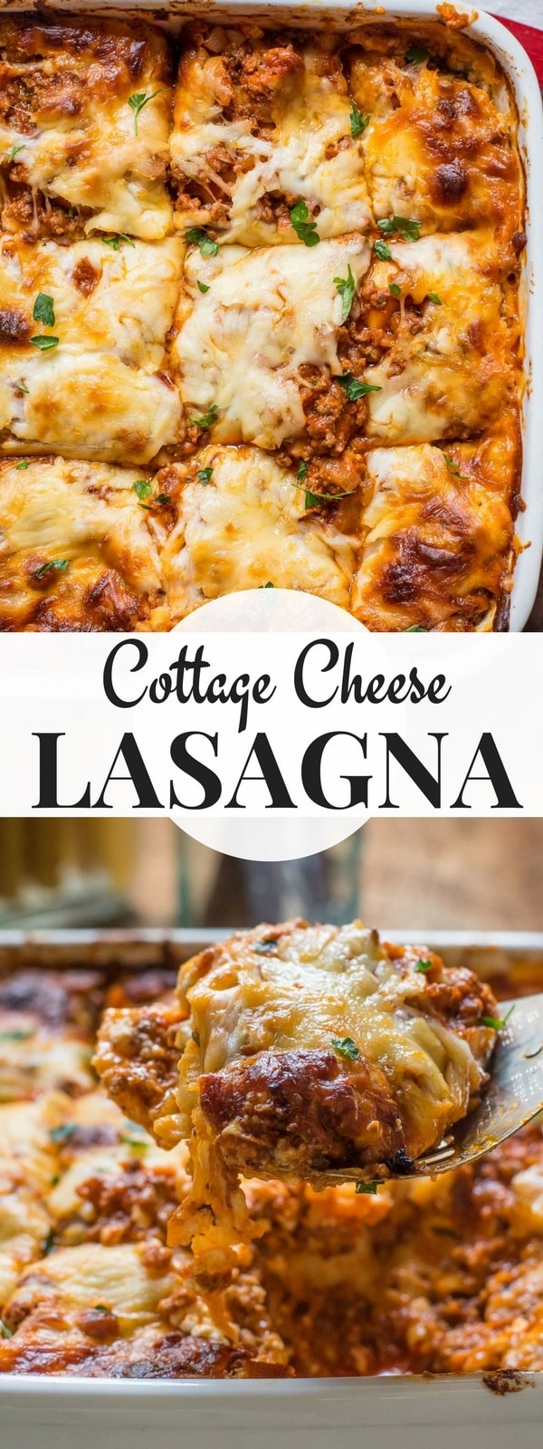 This Cottage Cheese Lasagna is the very BEST creamy, saucy, ultra cheesy lasagna recipe. 