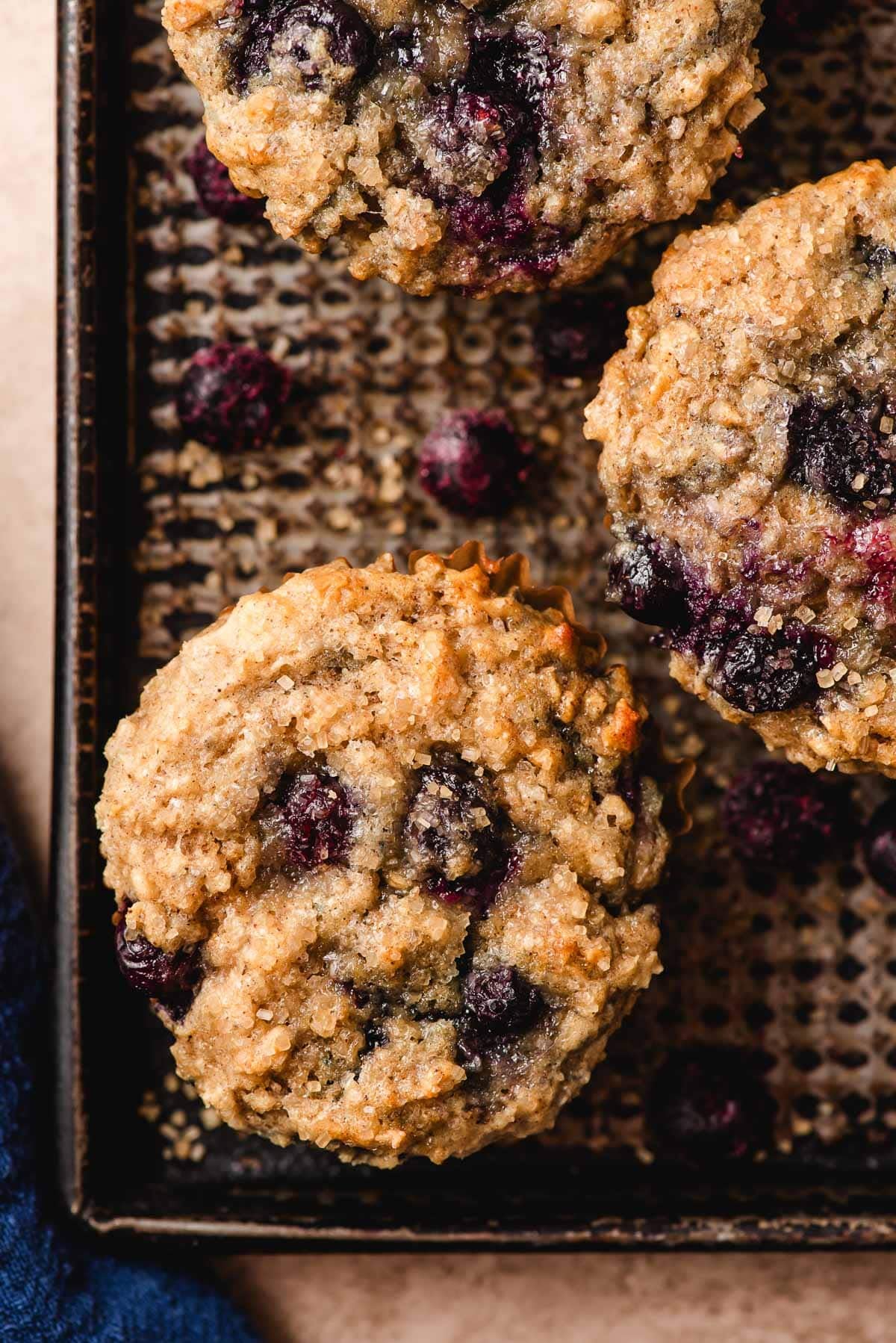 Blueberry and oatmeal muffin on a baking sheet, surrounded by blueberrie.