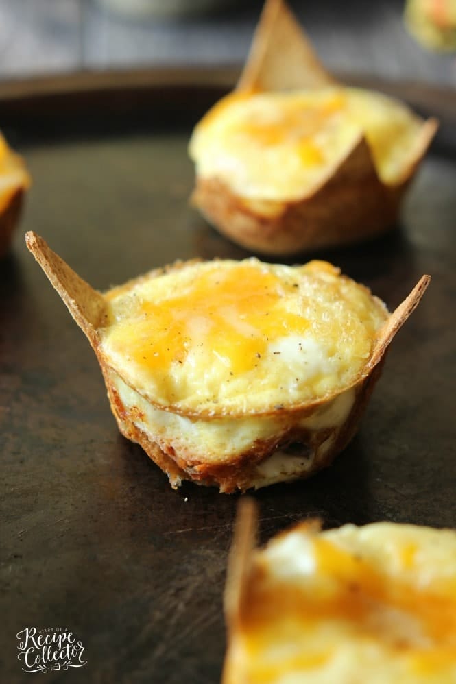 Taco Egg Muffin Cups