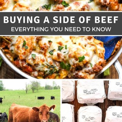 Interested in buying a side of beef? This post walks you through the process from finding a farmer to processing and storing!