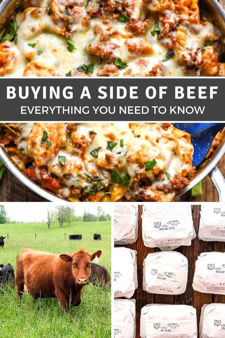 Interested in buying a side of beef? This post walks you through the process from finding a farmer to processing and storing!