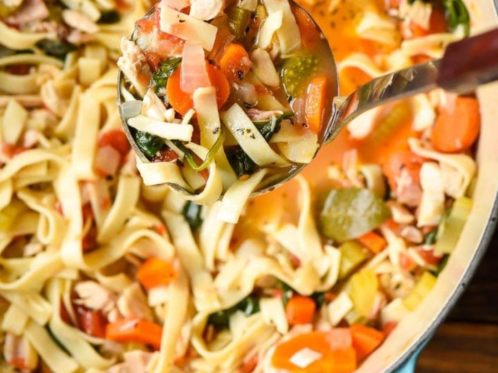 30-Minute Spicy Chicken Noodle Soup – State of Dinner