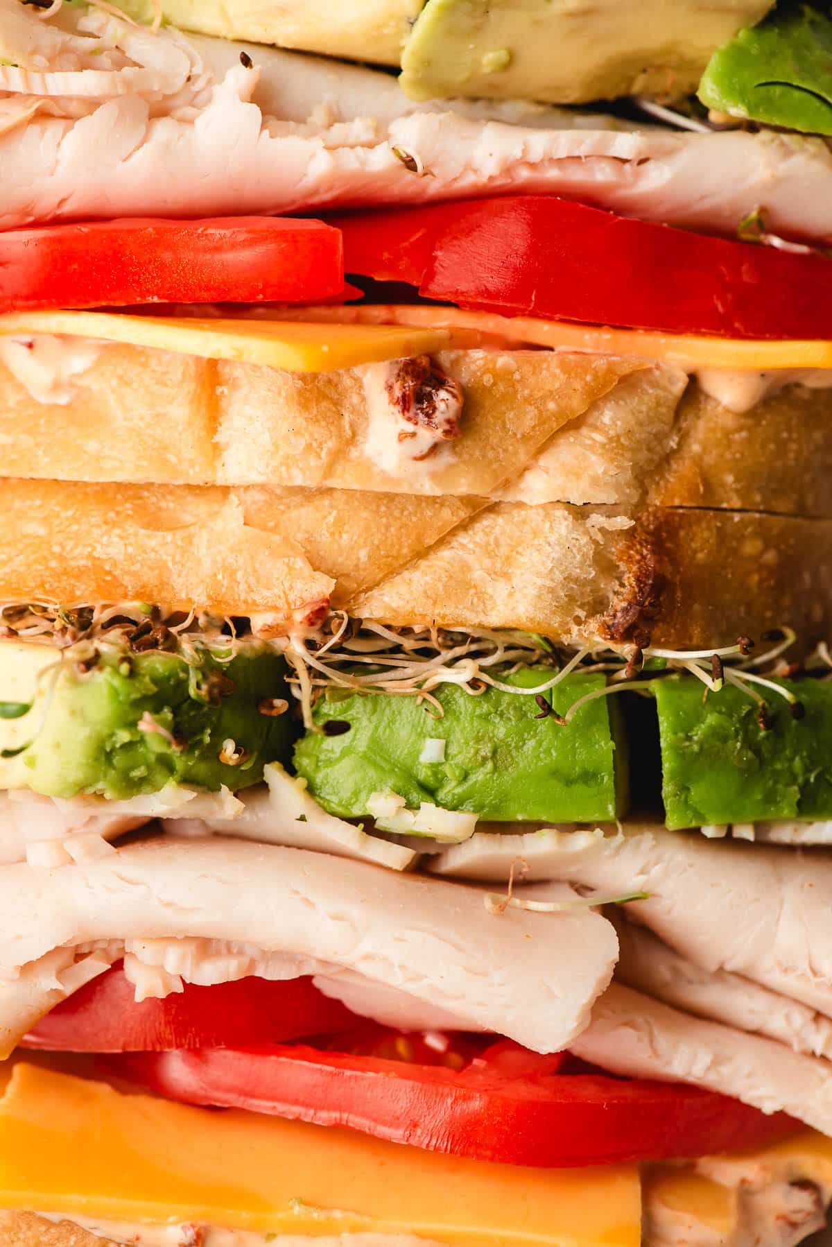 Up close picture of a sandwich with cheese, tomato, turkey, avocado, sprouts, and chipotle mayo.