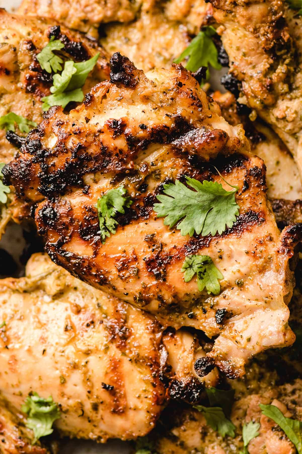 Piece of grilled cilantro lime chicken.