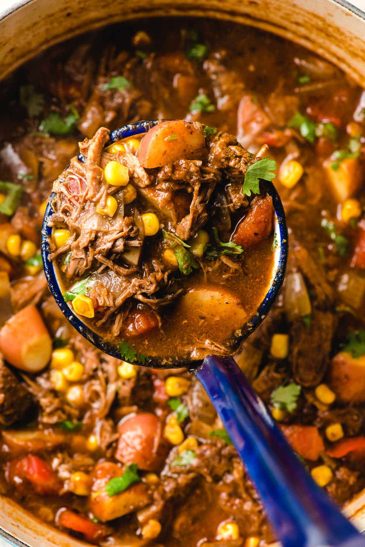 Blue ladle scooping Mexican Beef Stew from a Dutch Oven.