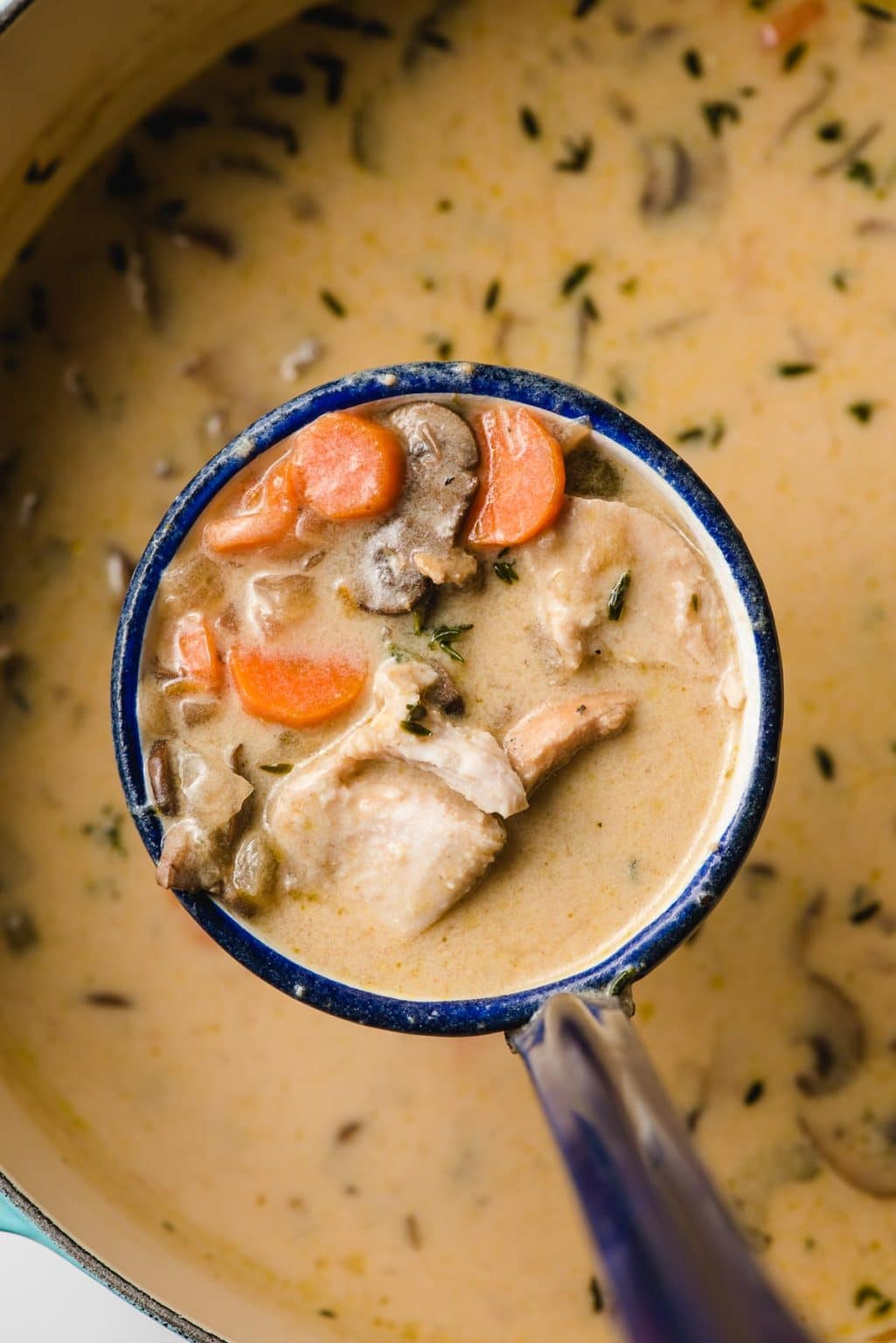 Creamy Turkey Soup with Mushrooms and Thyme - NeighborFood