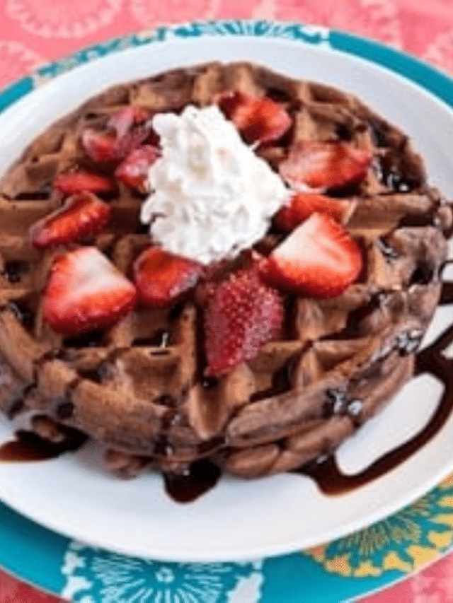 Double Chocolate Waffle with Fresh Strawberries and Whipped Cream Story