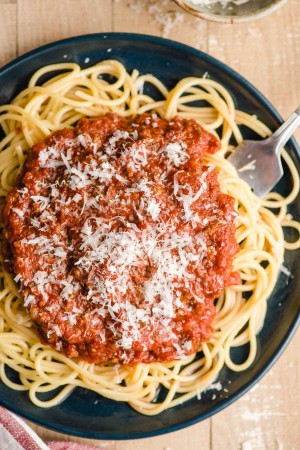 A plate of spaghetti topped with spaghetti sauce and shedded Parmesan cheese.