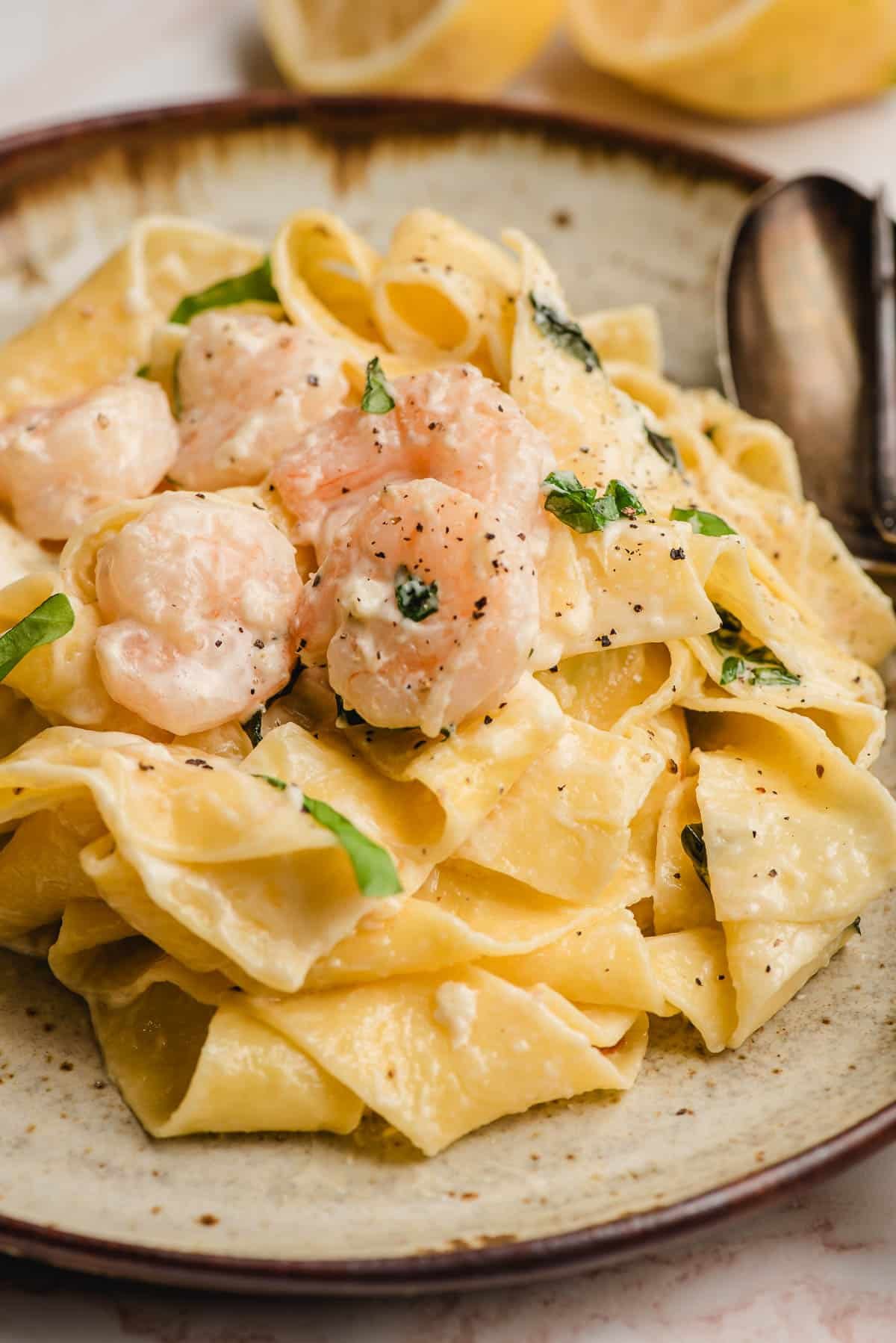 Pappardelle pasta with shrimp on a plate.