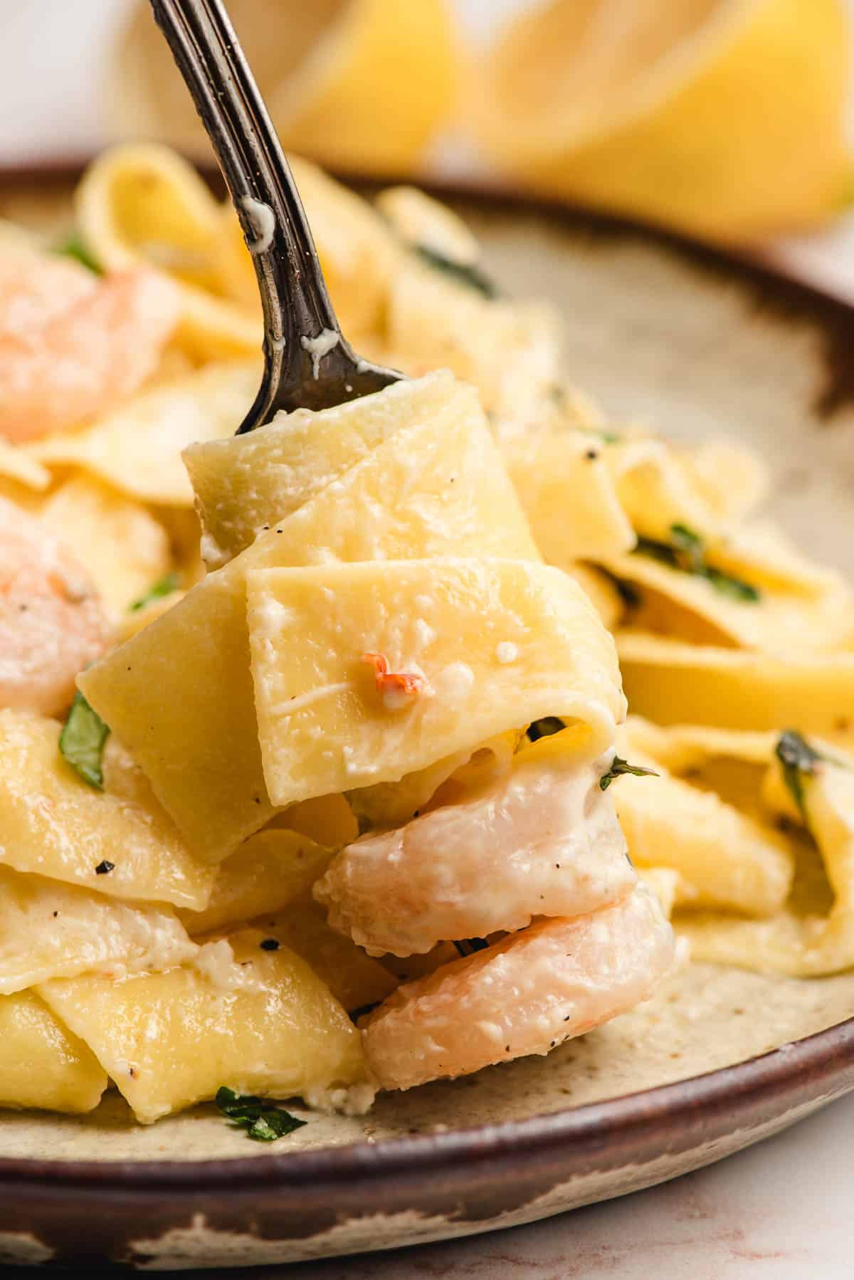 Creamy pappardelle pasta twirled on a fork with shrimp.