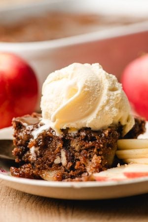 Apple dapple cake slice with a scoop of vanilla ice cream.