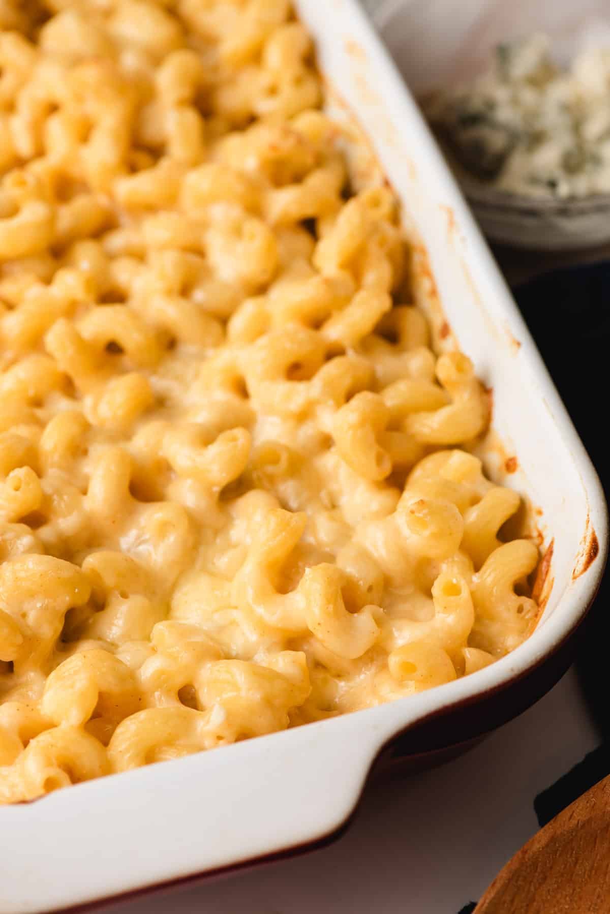 Four Cheese Mac and Cheese baked in the oven with a melty, browned cheese crust.