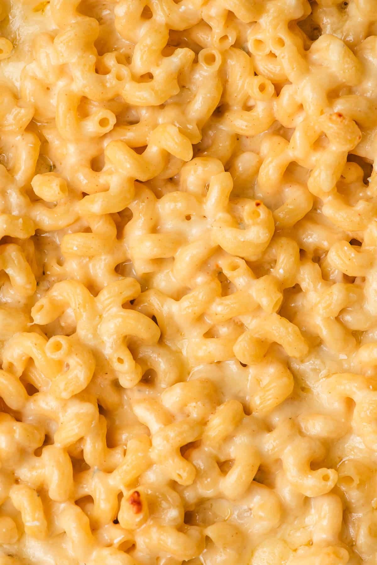 Freshly baked four cheese mac and cheese with twirly noodles.