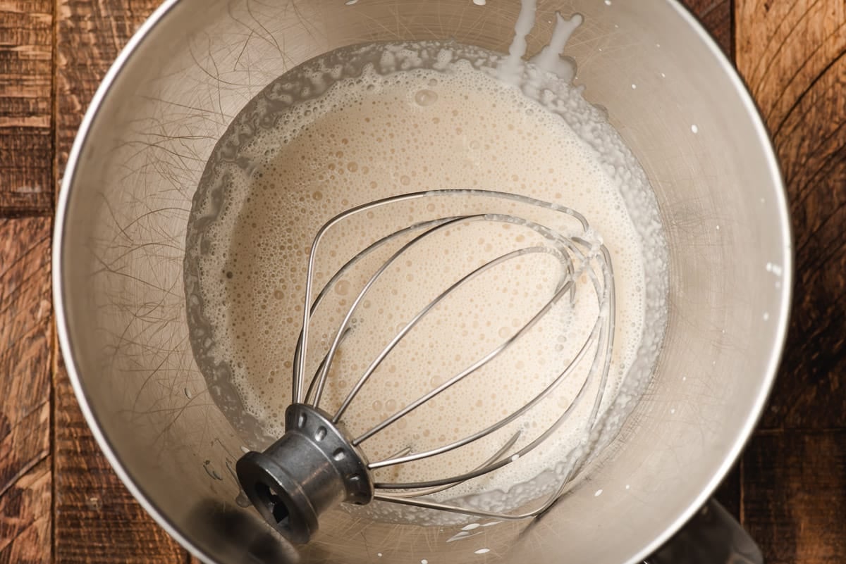 The foamy first stages of whipping cream.