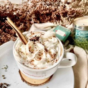 Chocolate Chai Tea in a mug topped with a cinnamon stick and chocolate shavings.