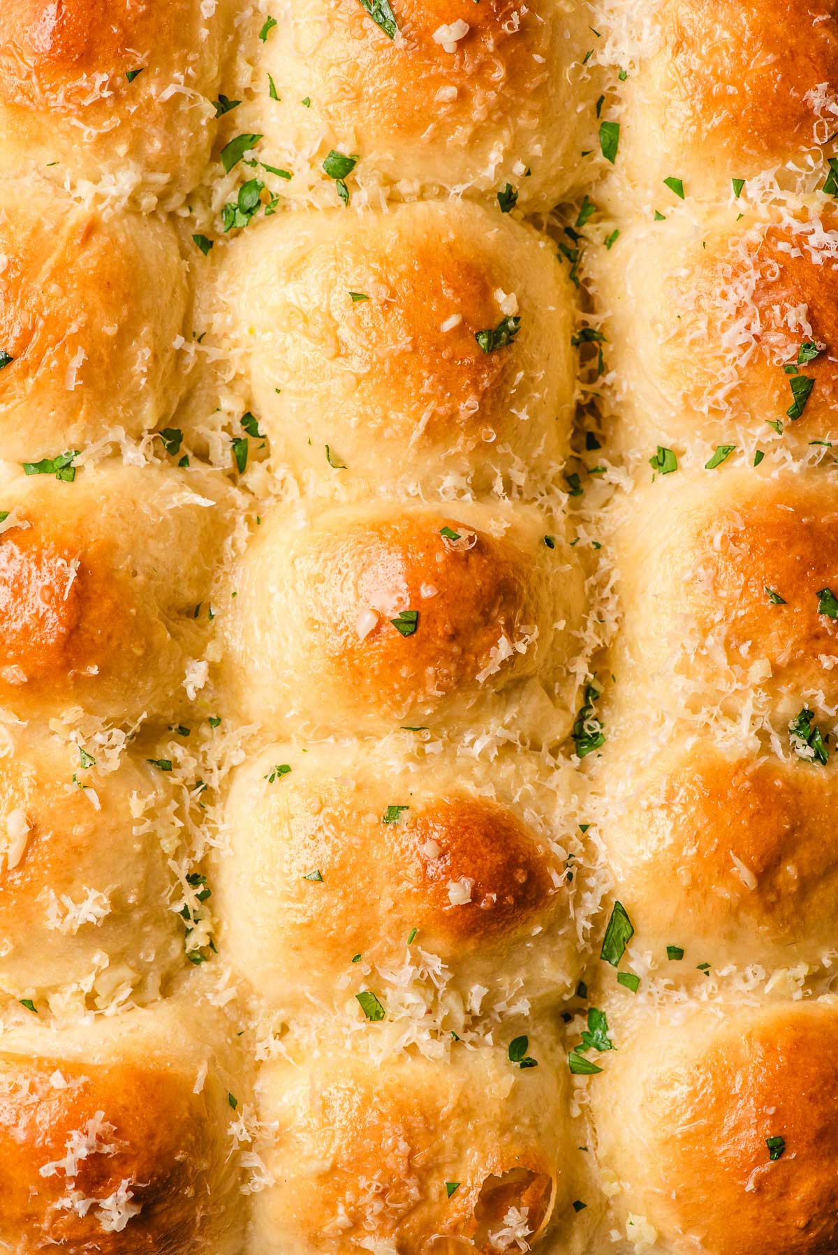 Dinner rolls topped with garlic butter, parmesan, and parsley.